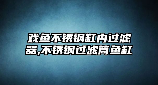 戲魚(yú)不銹鋼缸內(nèi)過(guò)濾器,不銹鋼過(guò)濾筒魚(yú)缸
