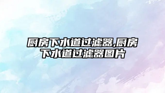 廚房下水道過(guò)濾器,廚房下水道過(guò)濾器圖片